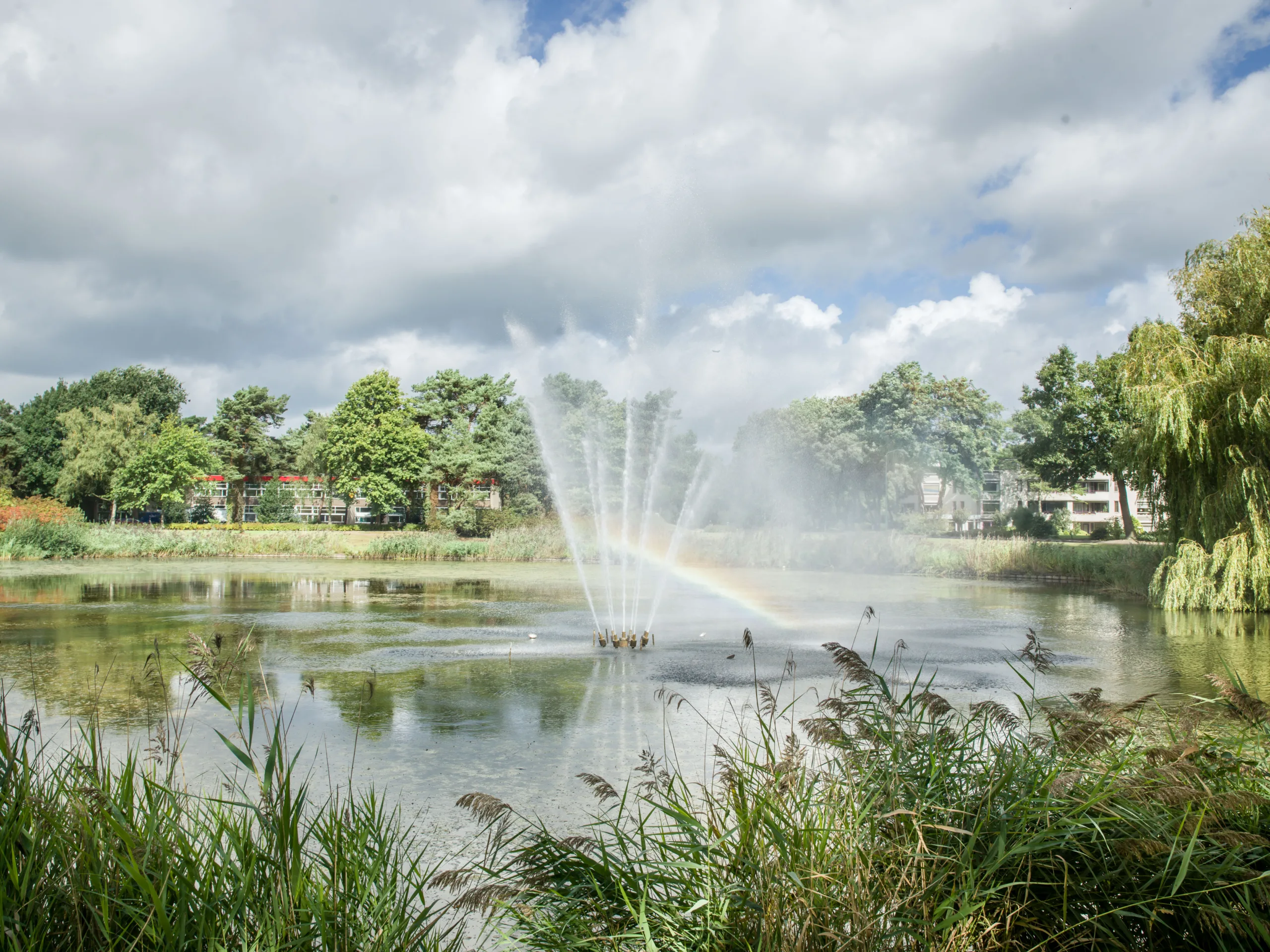 Park in Son & Breugel – Villa De Kleine Heide