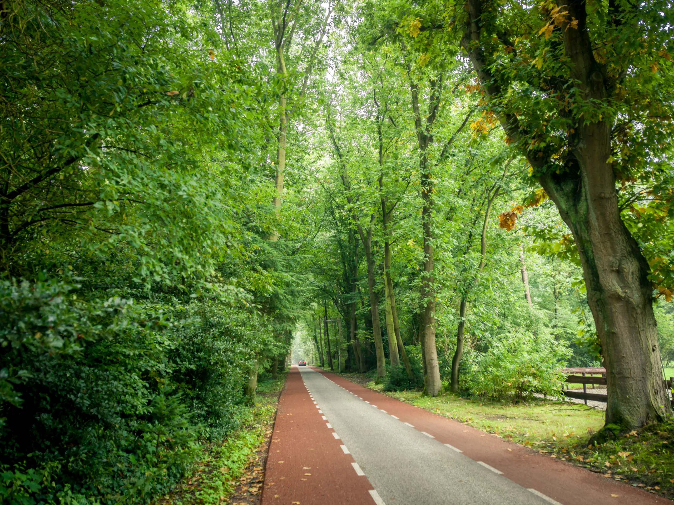 Villa Hoefstaete – Buiten – Omgeving