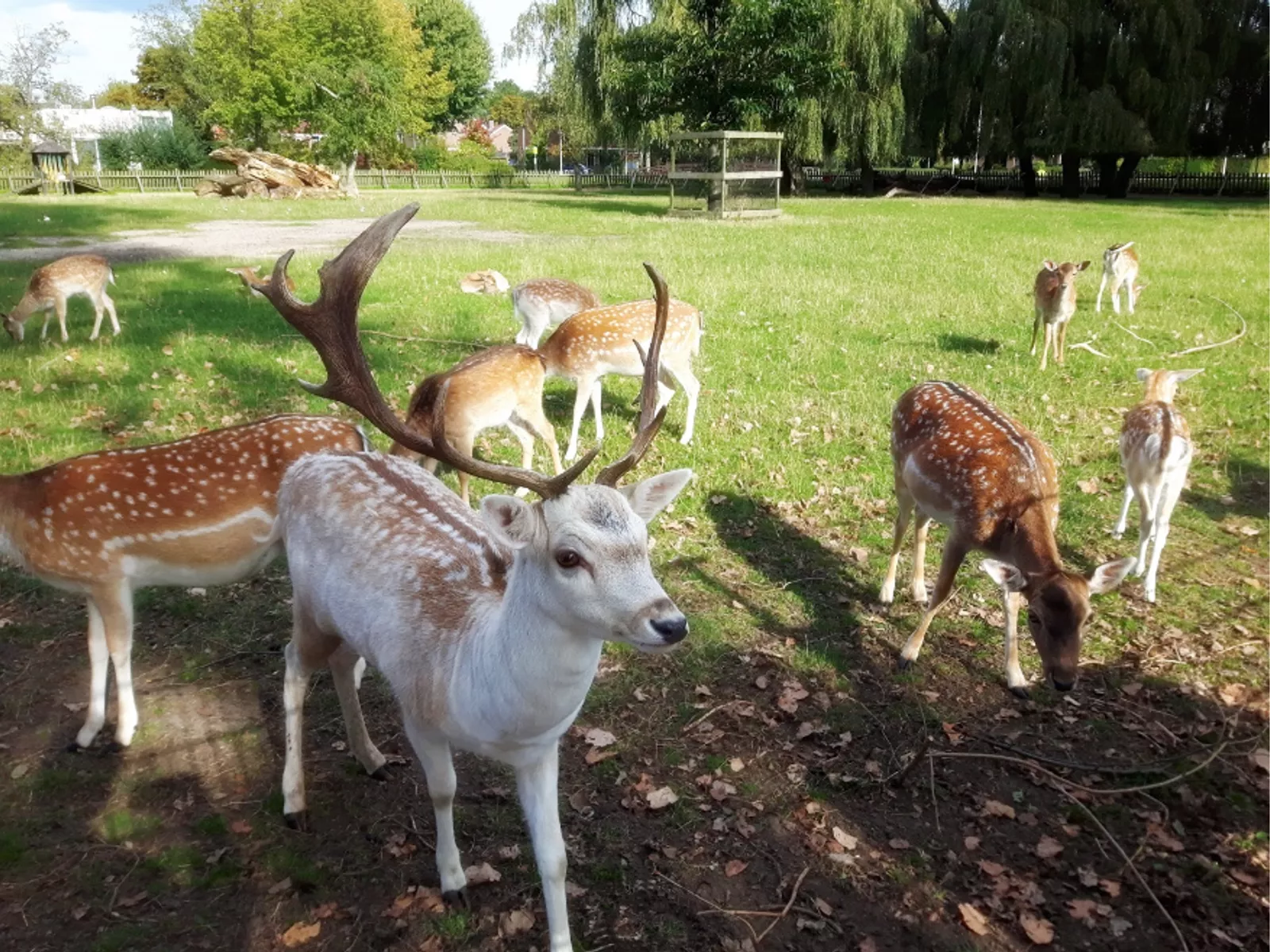 Villa MaJa – Omgeving